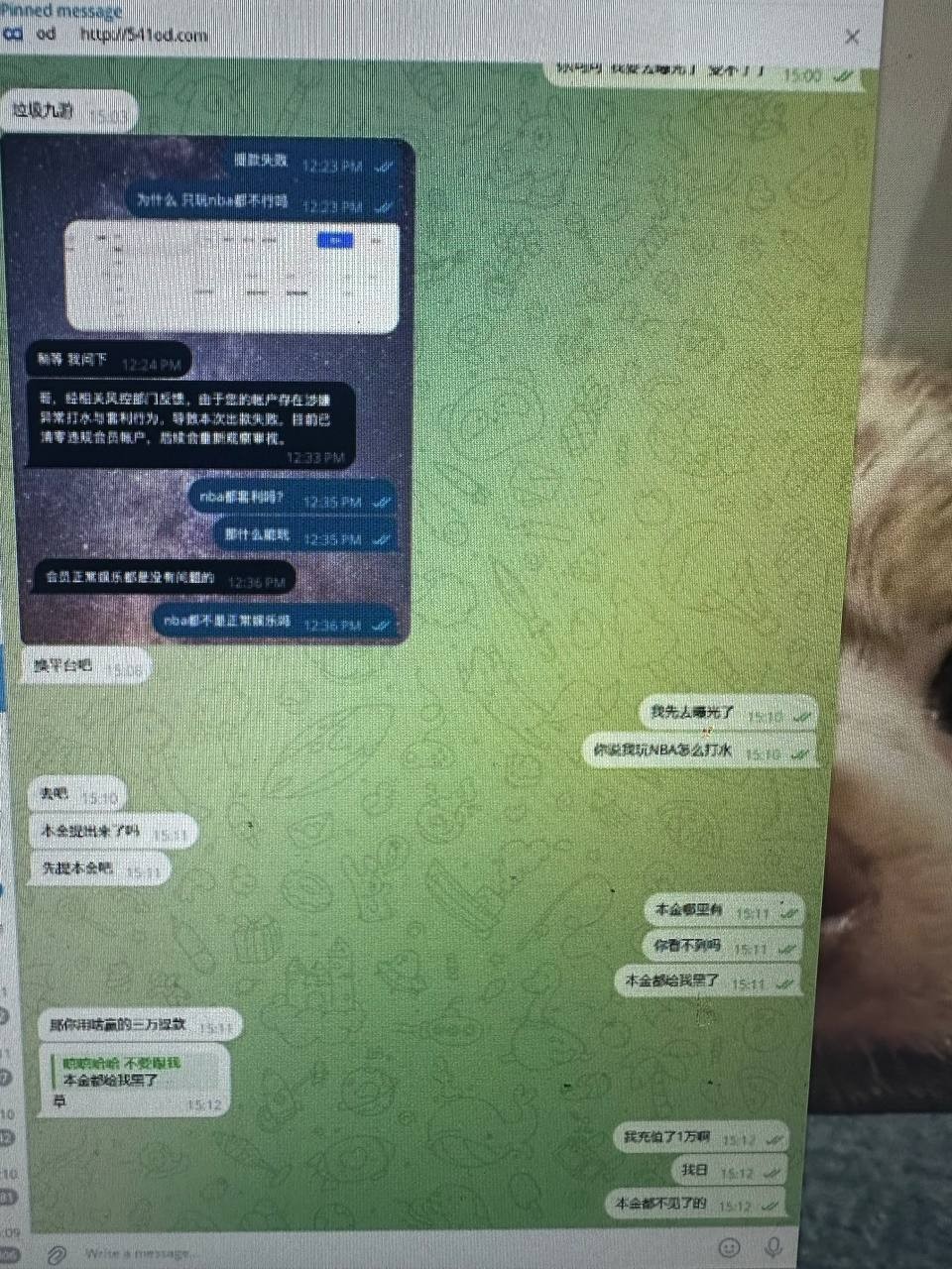 爆料九游娱乐，九游是年底里要收割了嘛